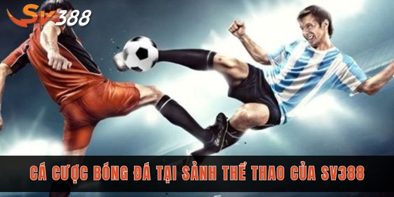 Cá cược bóng đá tại sảnh thể thao của Sv388