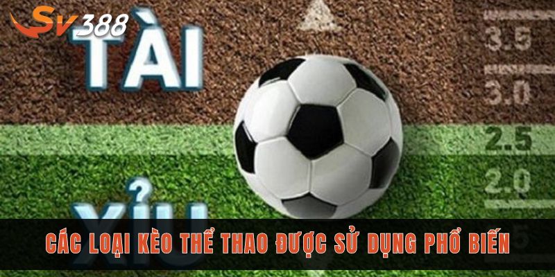 Các loại kèo thể thao được sử dụng phổ biến tại Sv388