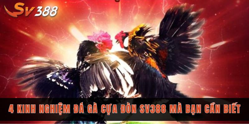 Đá gà đòn SV388