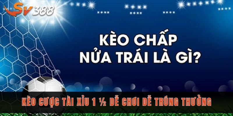 Kèo tài xỉu bóng đá là gì và cách đặt cược chuẩn đến 99% 2 Kèo cược tài xỉu 1 ½ dễ chơi dễ trúng thưởng